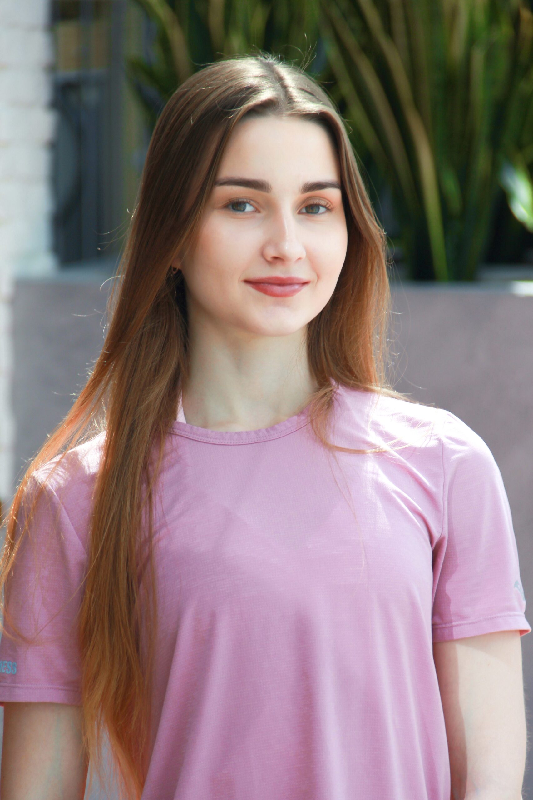 Image link